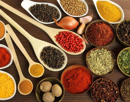 The Power of Indian Spices